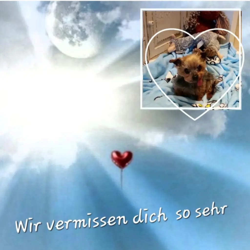 Condolence image of deine Familie ❤️