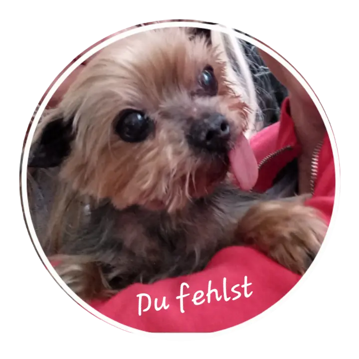 Condolence image of ❤️❤️❤️