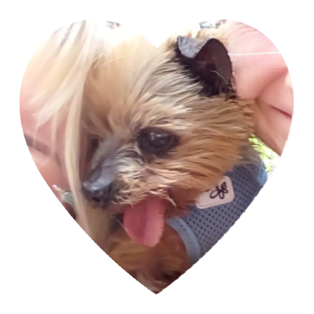 Condolence image of deine Familie ❤️