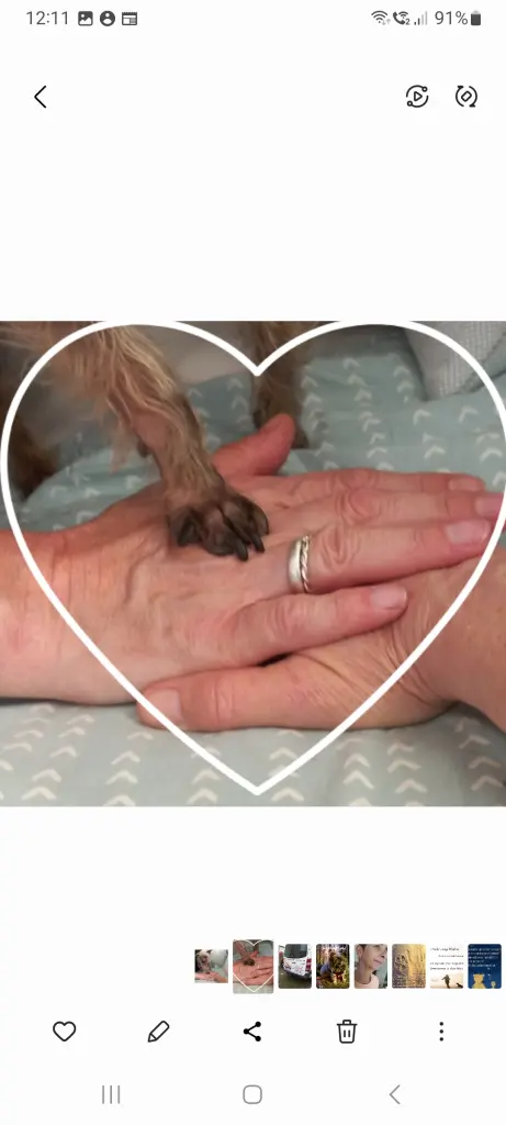 Andachtsbild von deine Familie ❤️