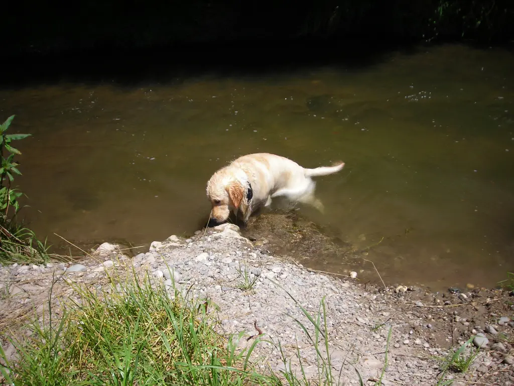 Andachtsbild von Peter & Christa mit Theo💞