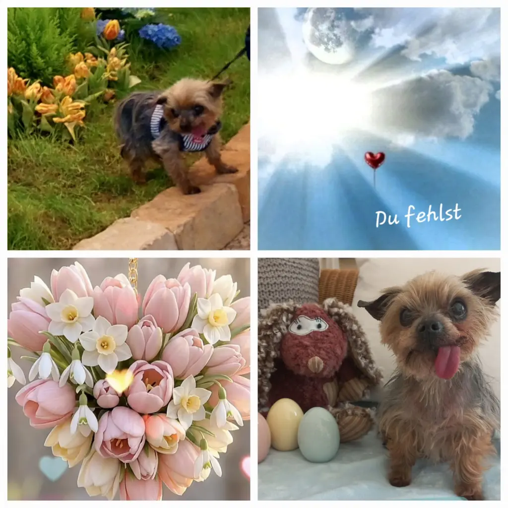 Condolence image of deine Familie ❤️