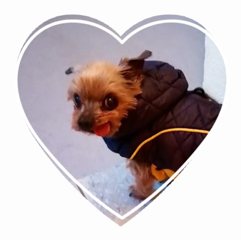 Condolence image of deine Familie ❤️