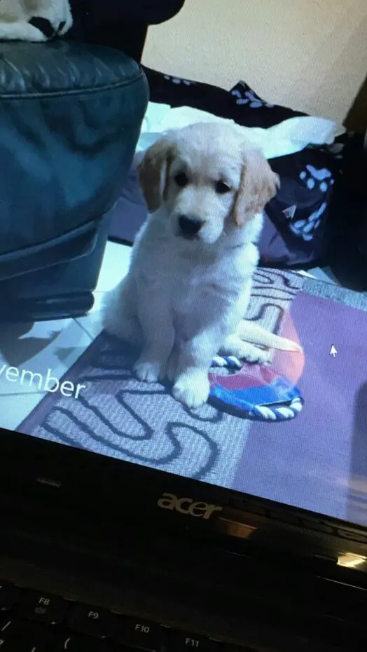 Andachtsbild von Peter mit Theo💞