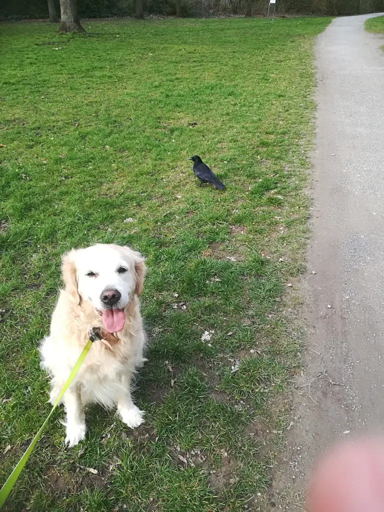 Condolence image of Karin