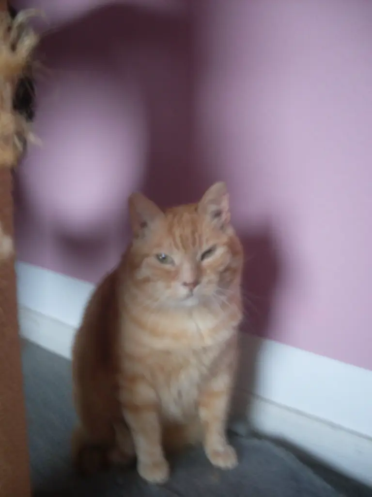 Condolence image of Michaela