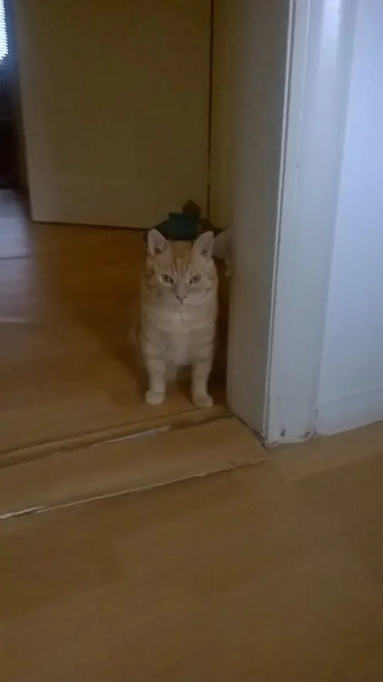 Condolence image of Michaela