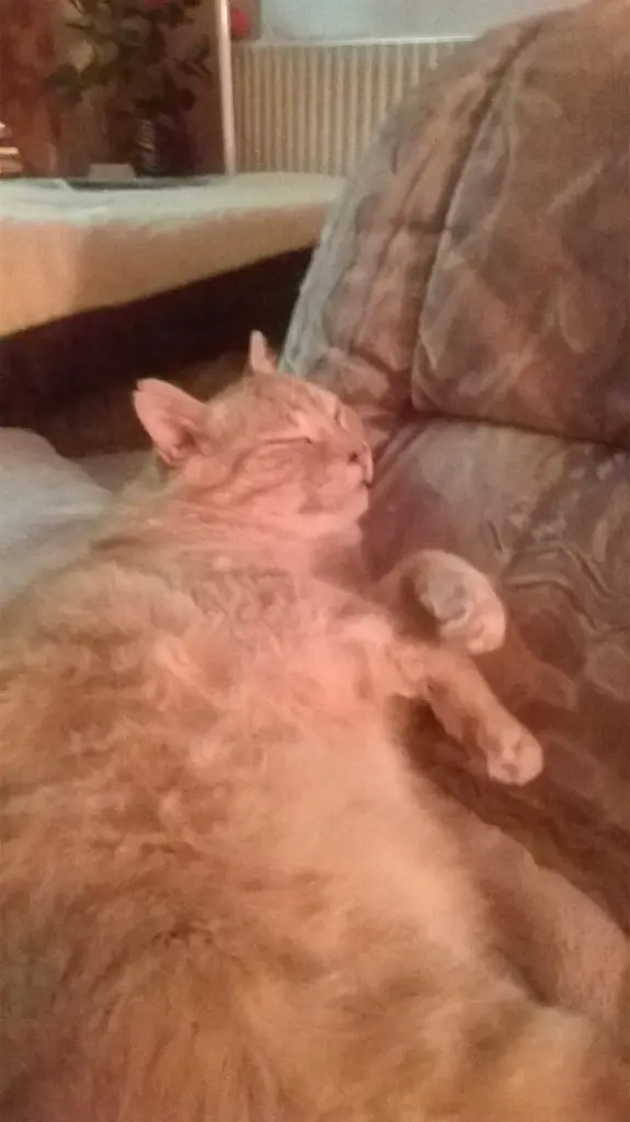 Condolence image of Michaela