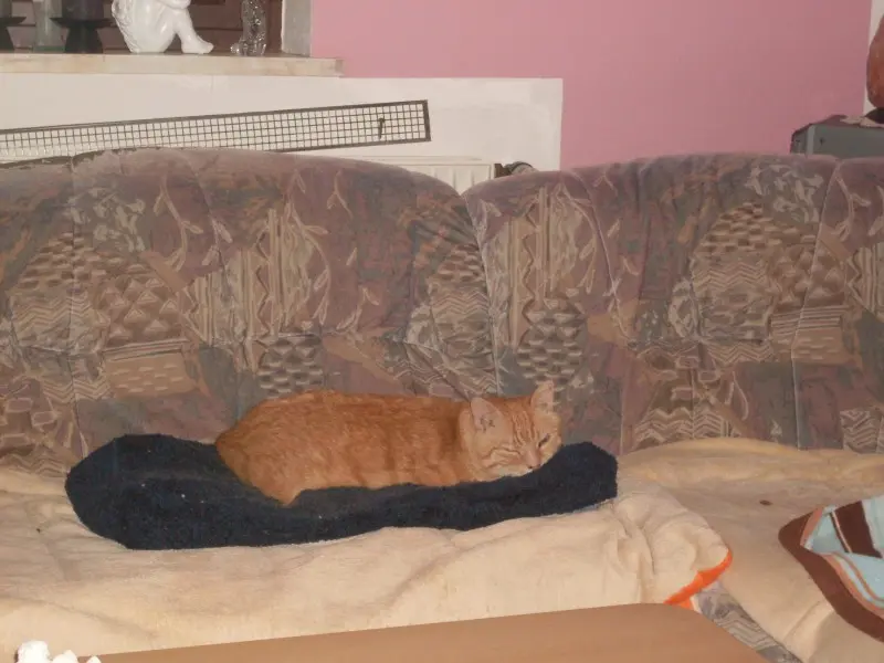 Condolence image of Michaela