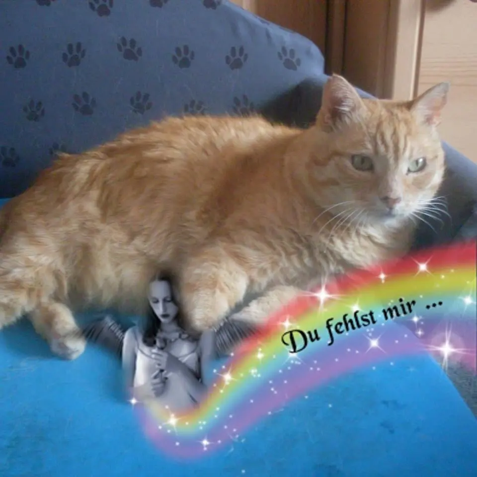 Condolence image of Michaela