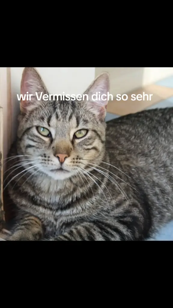 Andachtsbild von Heidi Preuß