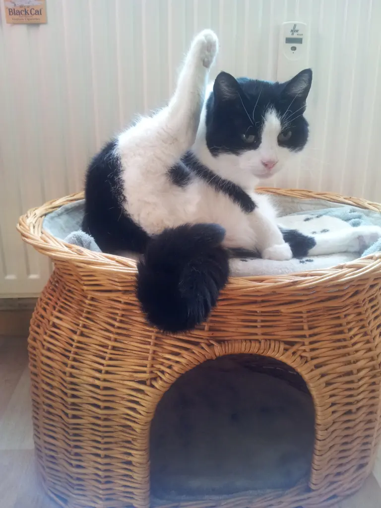 Condolence image of Ilse mit Fee und Minna im Herzen