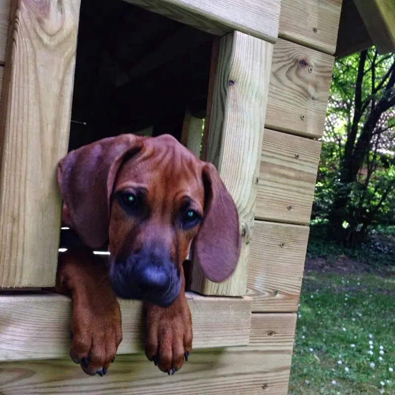 Andachtsbild von Sabrina