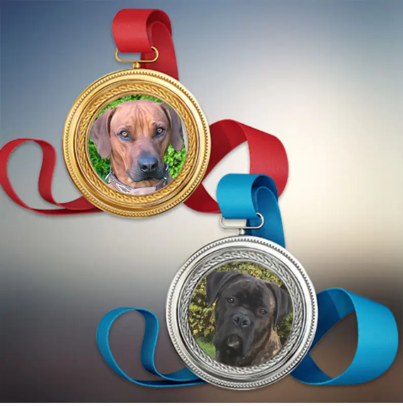 Andachtsbild von Britta mit ihren Seelenhunden Ebony und Enzo tief im Herzen