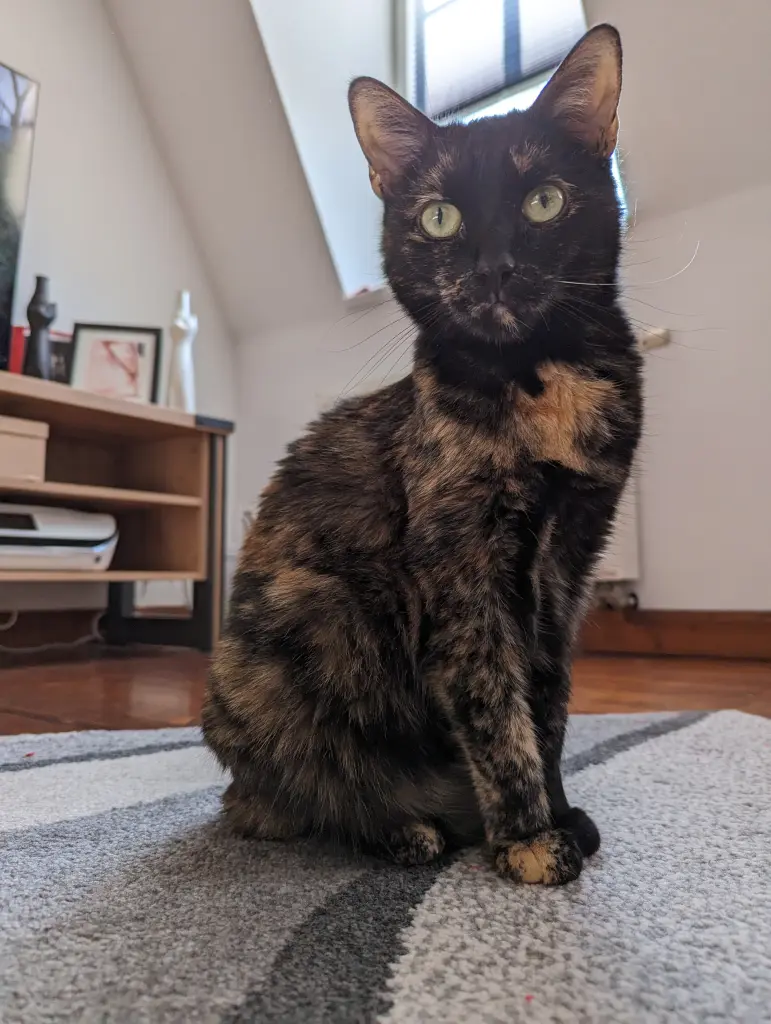 Andachtsbild von Candy Graessler