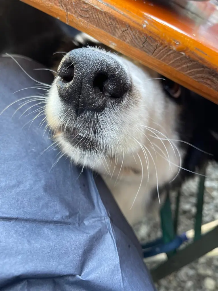 Andachtsbild von Stefanie Buck