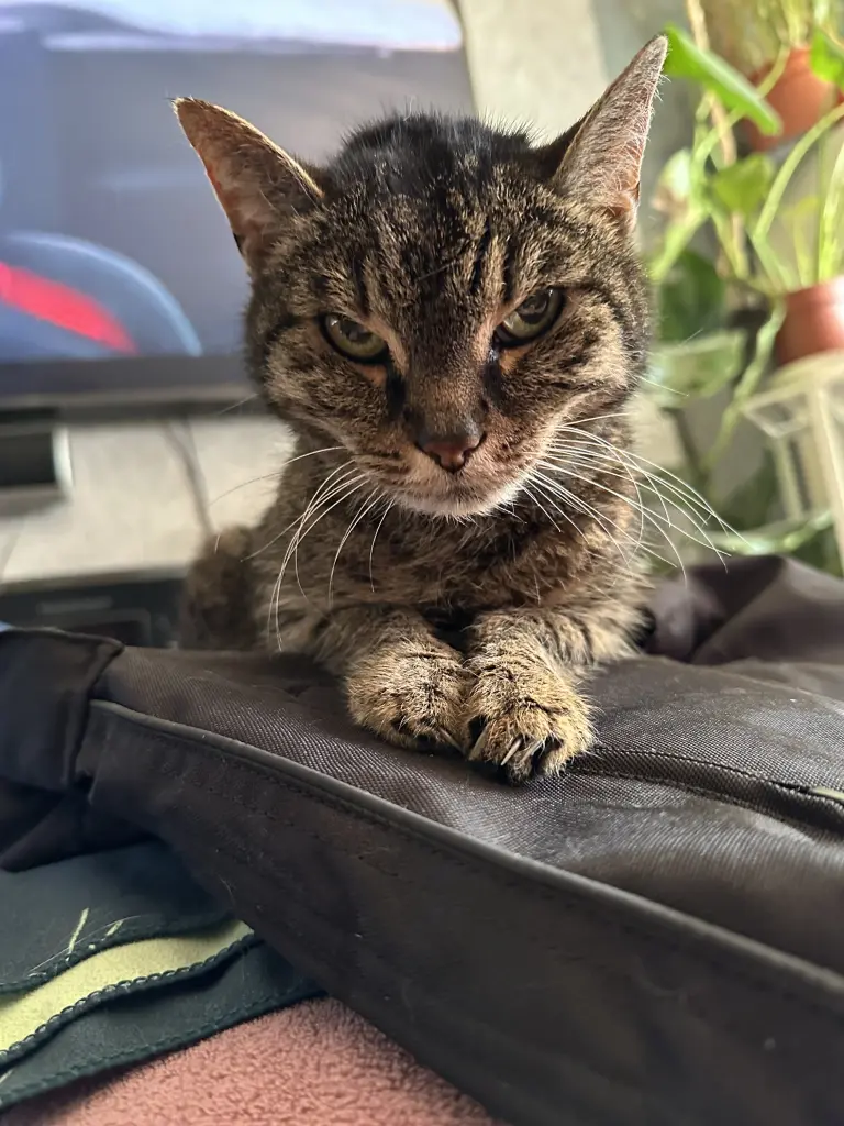 Andachtsbild von Anne-Marie Elsner