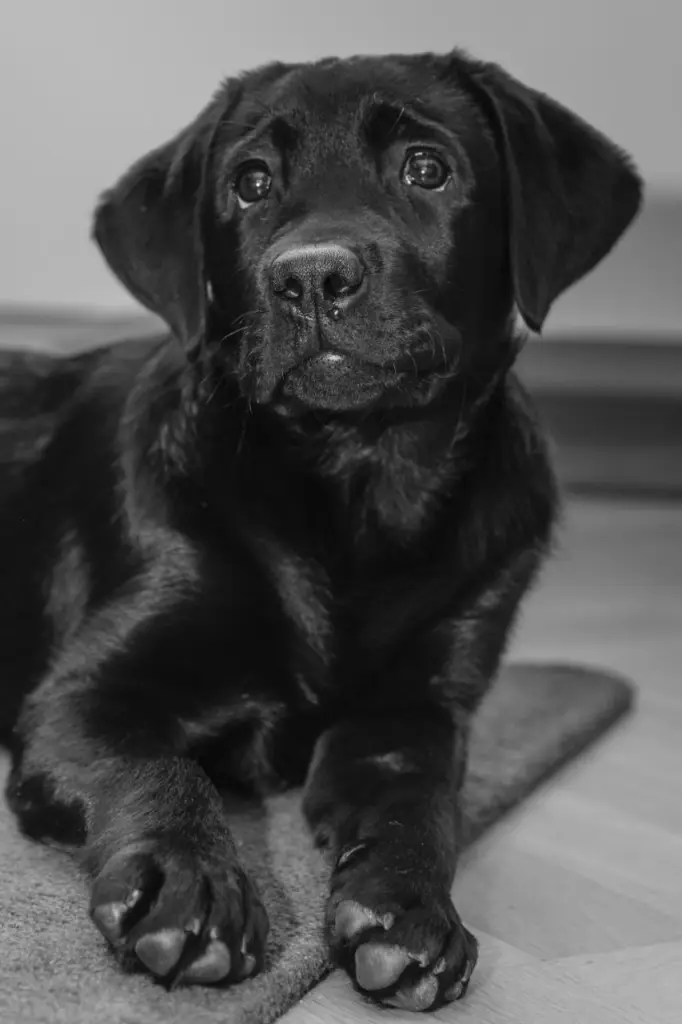 Condolence image of Christina mit Helena