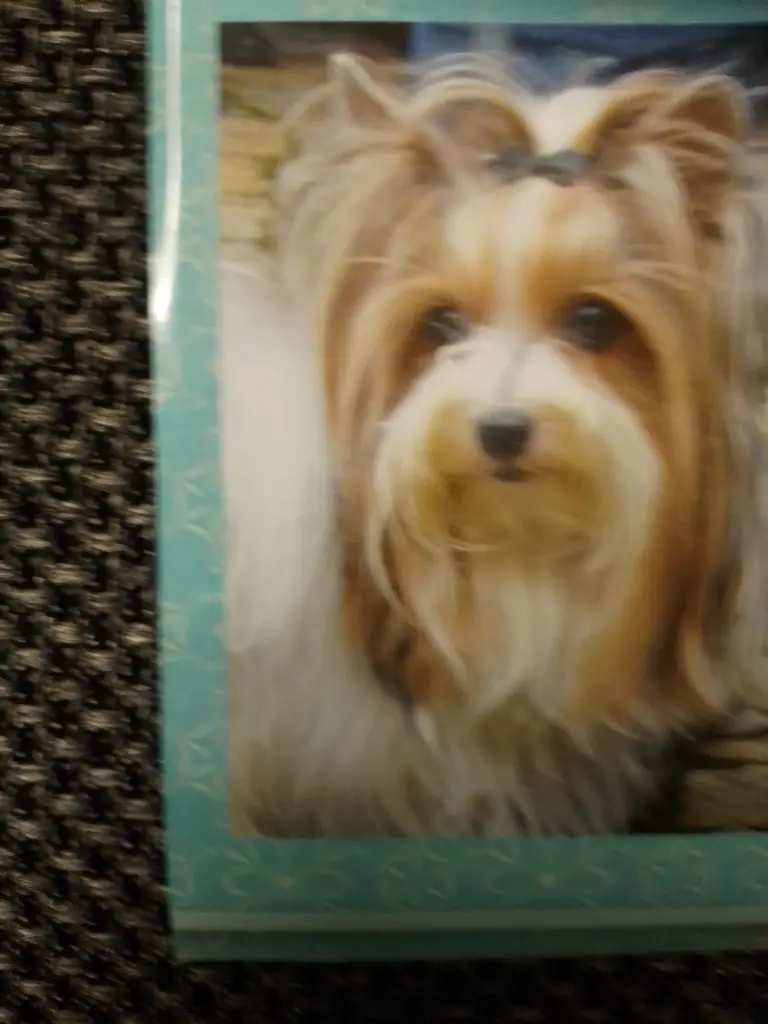 Andachtsbild von Konny mit Piccolino-Fly tief im ❤️