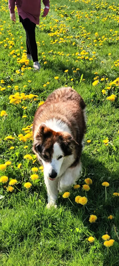 Bild von Bella