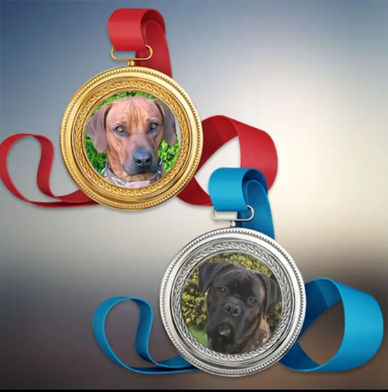 Andachtsbild von Britta mit ihren Seelenhunden Ebony und Enzo tief im Herzen❤️