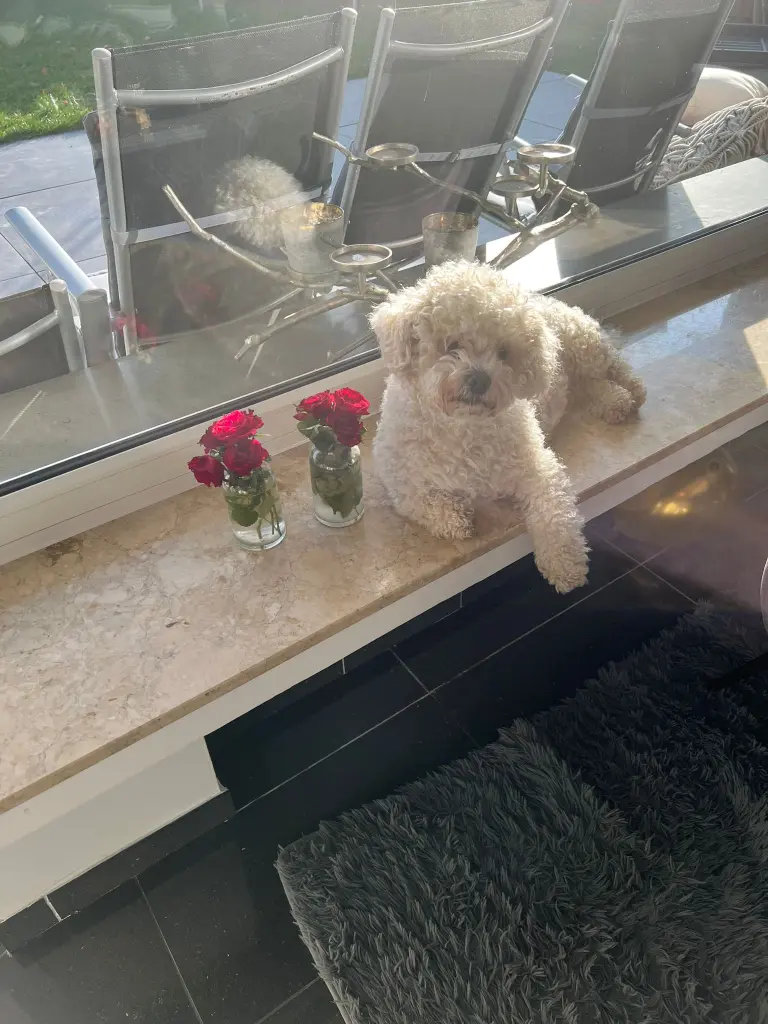 Andachtsbild von Sevil Bilial