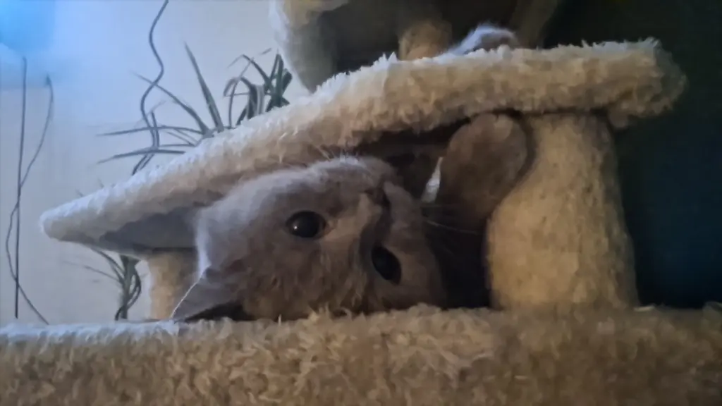 Andachtsbild von Kerstin Jürgens