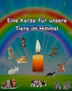 Andachtsbild von Konny mit Piccolino-Fly tief im ❤️