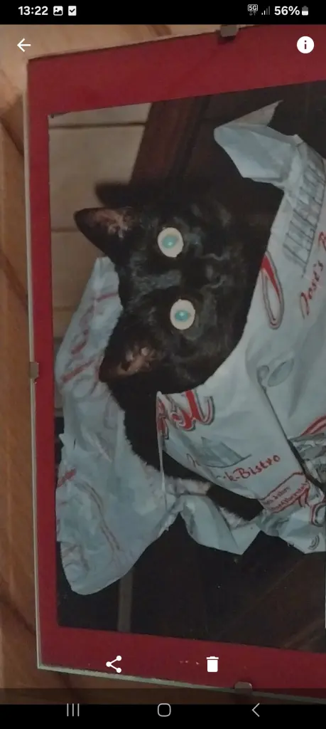 Andachtsbild von Eva mit Kira im Herzen 🖤