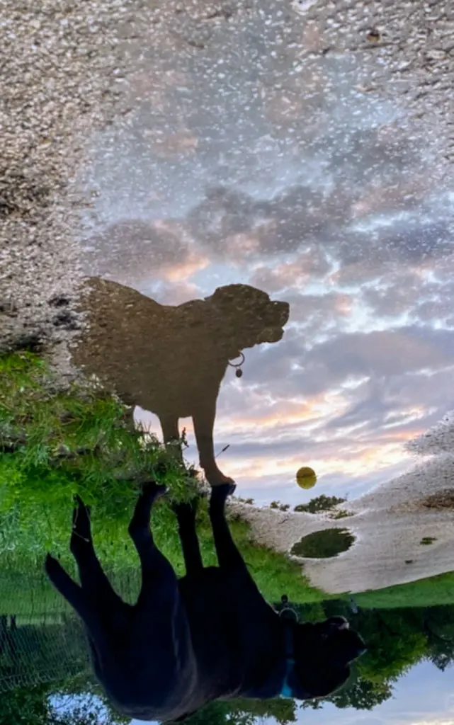 Andachtsbild von Simone