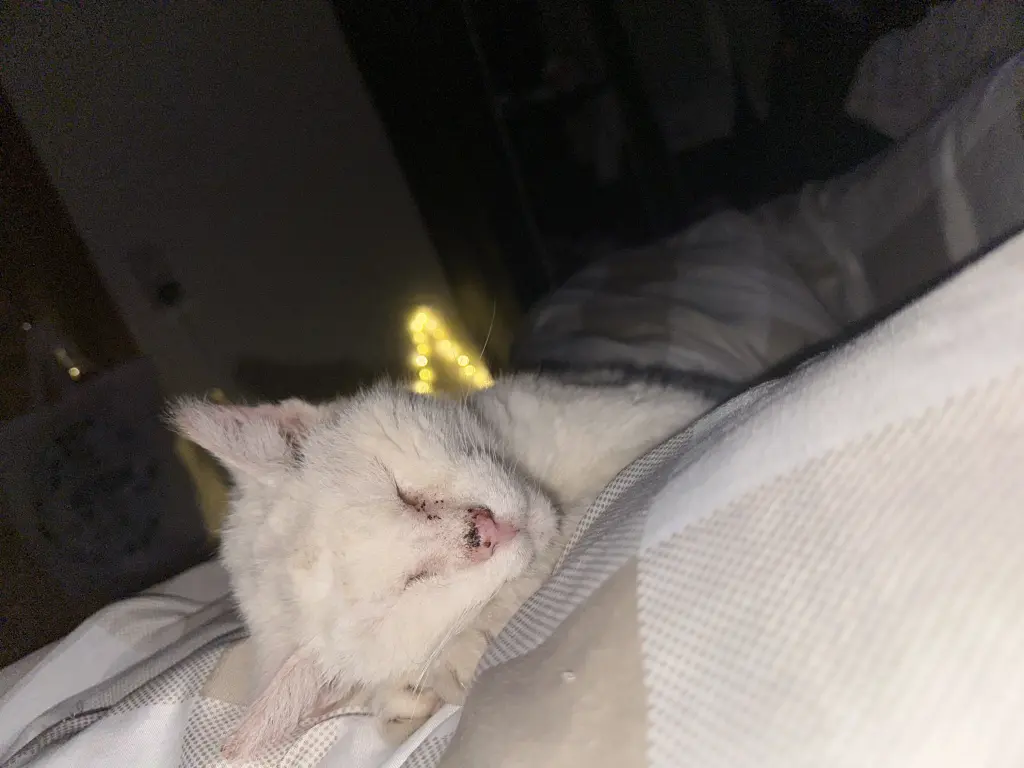 Andachtsbild von Dana Wiese