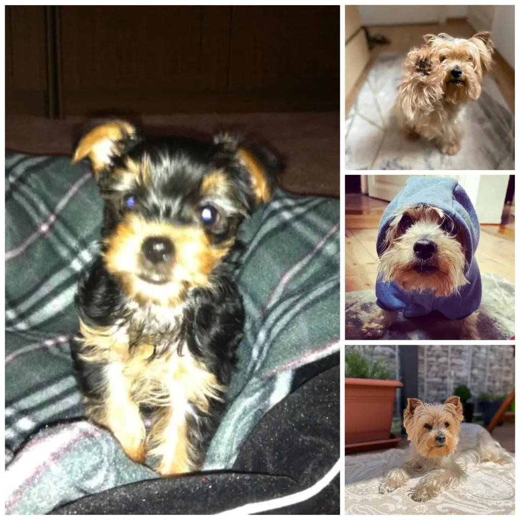 Andachtsbild von Daniela Koitzsch