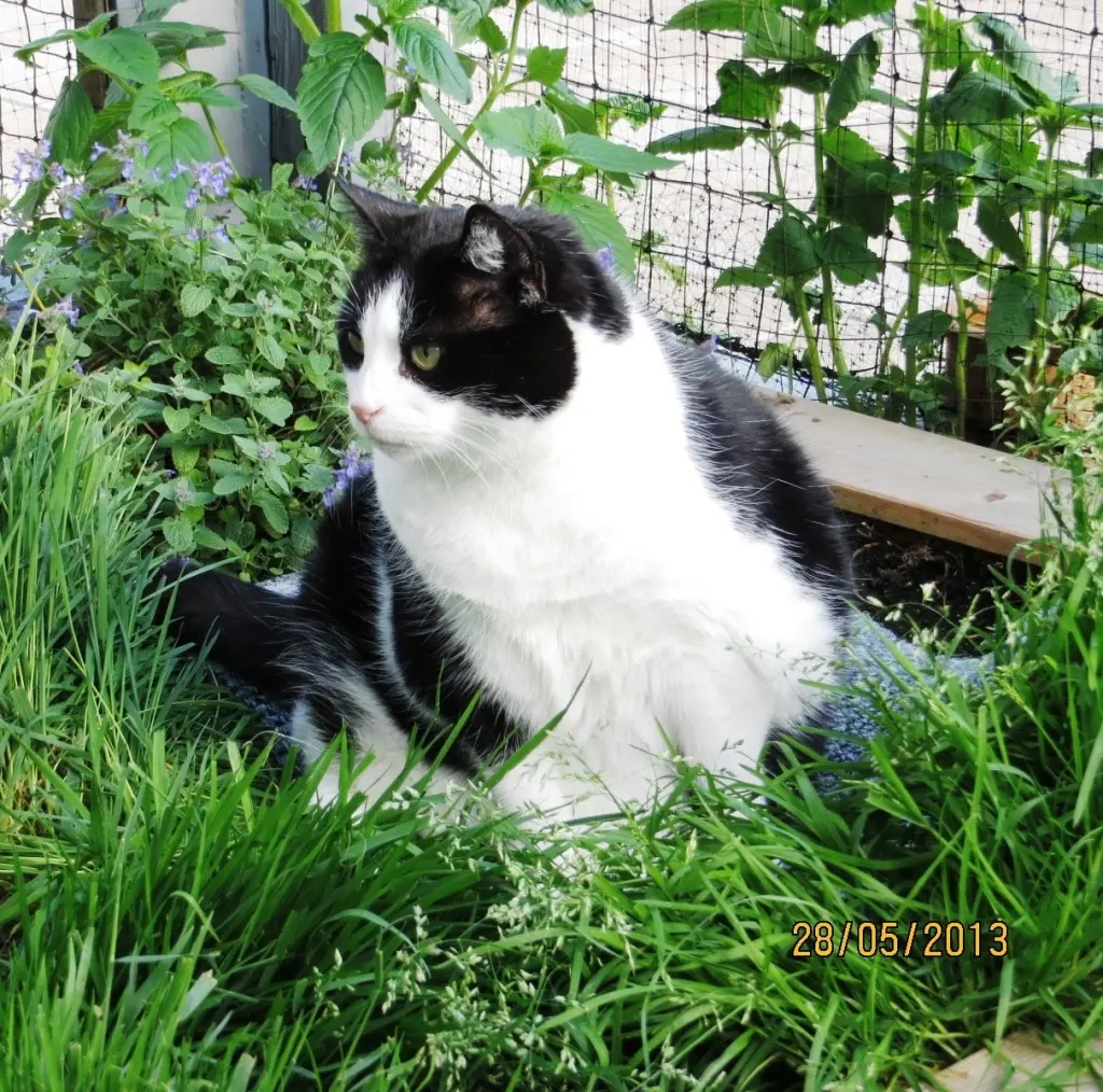 Andachtsbild von Ilse mit Fee und Minna im Herzen