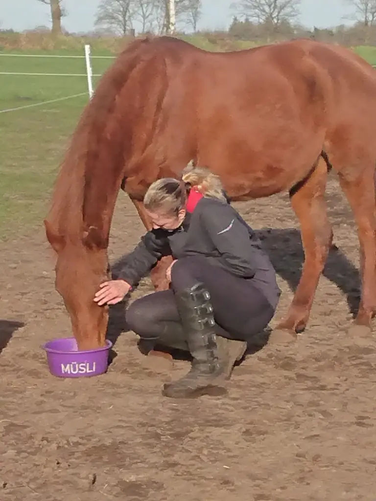 Bild von Kesimah El Chamsin