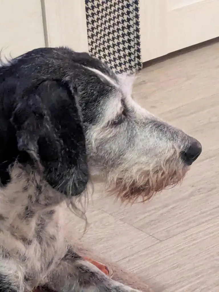 Andachtsbild von Silvia Kmiecik