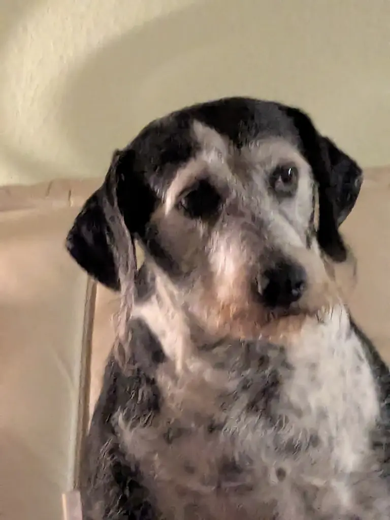 Andachtsbild von Heinz Kmiecik