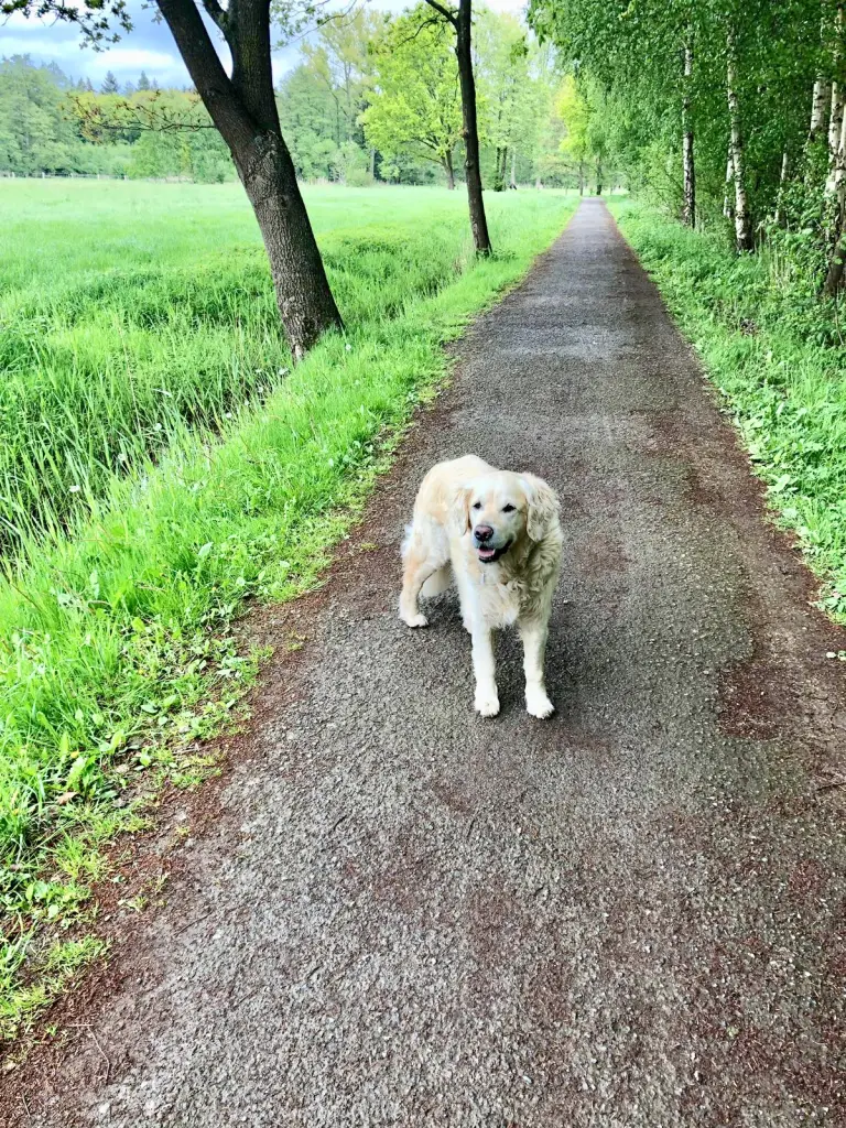 Andachtsbild von Andy und Piet ❤️❤️