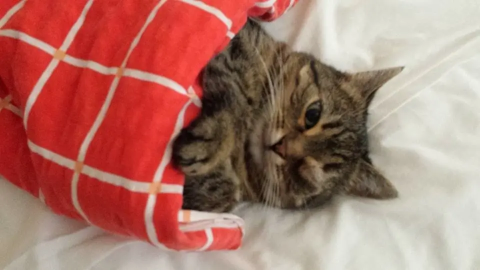 Image from Emma