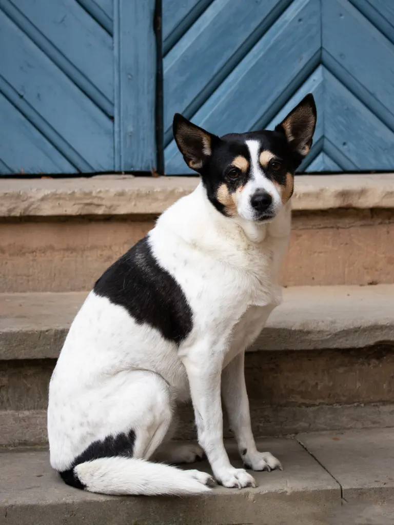 Andachtsbild von Vicky