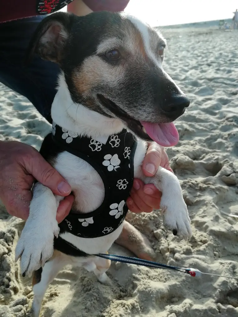 Andachtsbild von Dominika Amen