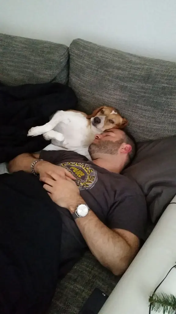 Bild von Casey / Cookie 