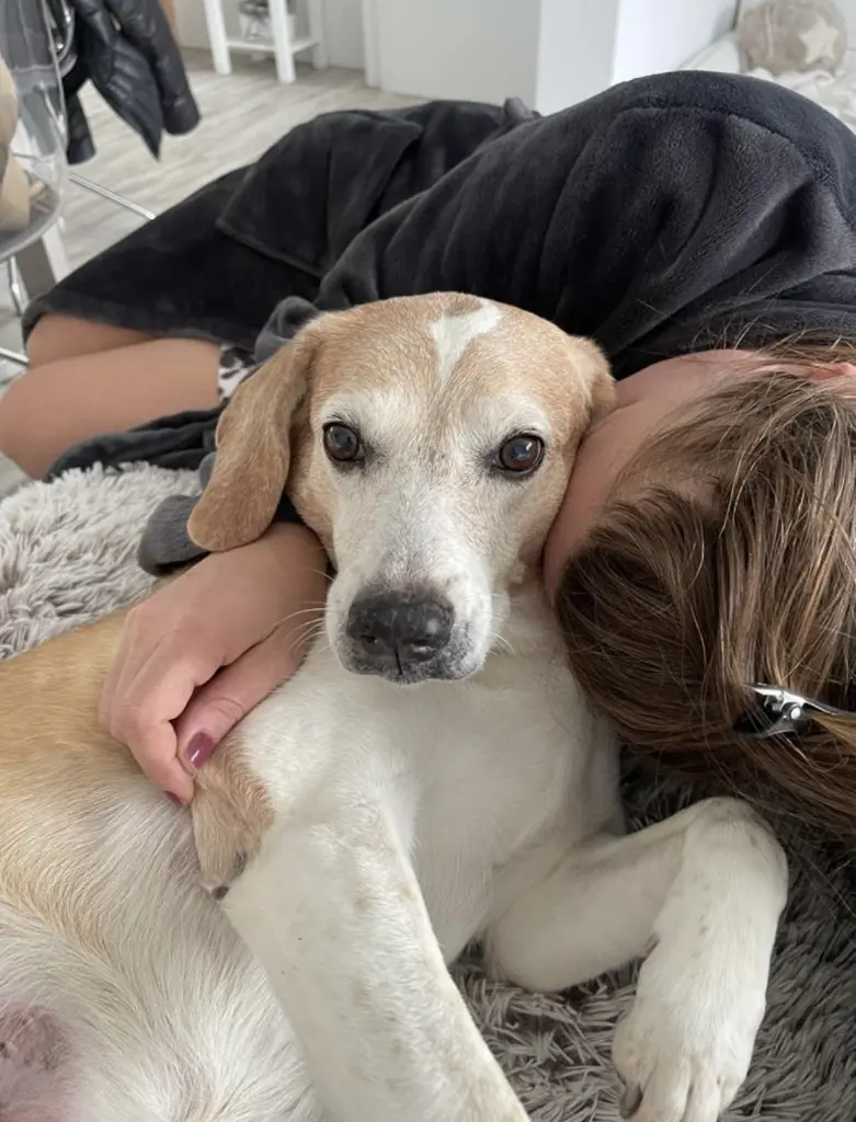 Bild von Casey / Cookie 