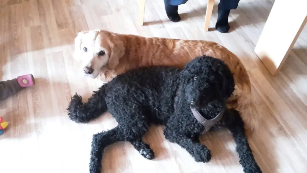 Condolence image of Sarah und Grace