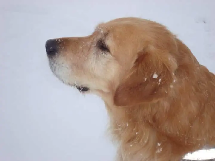 Condolence image of Sabine