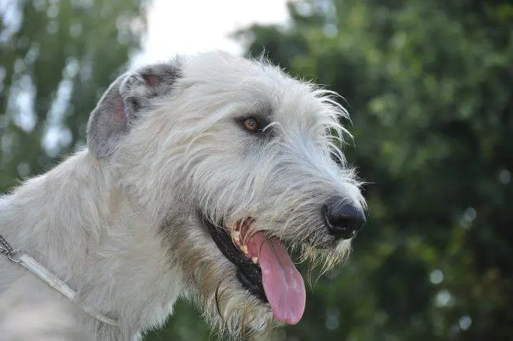 Condolence image of Edith