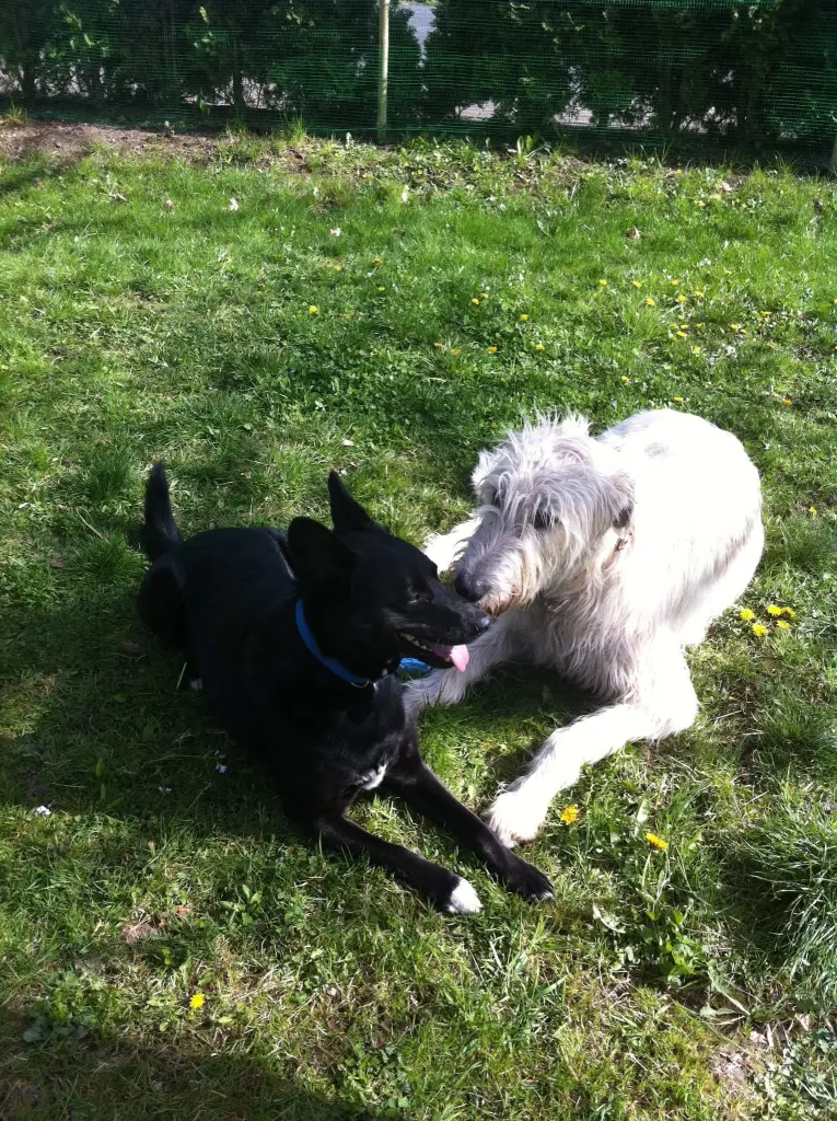 Condolence image of Melanie Fecher