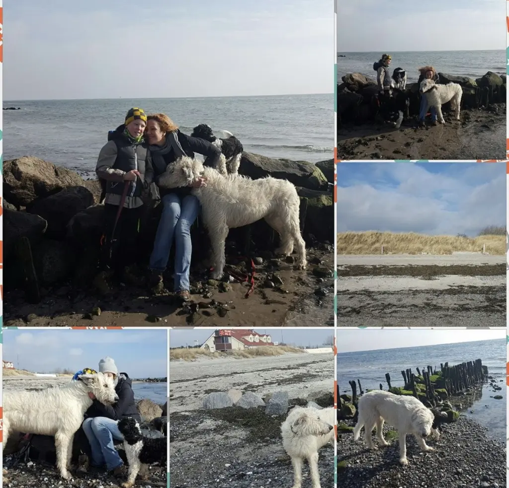 Condolence image of Natascha Stöcker-Kissig