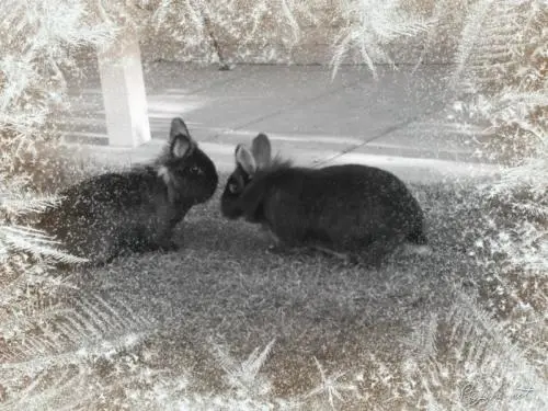 Image from Nicki und Joschka