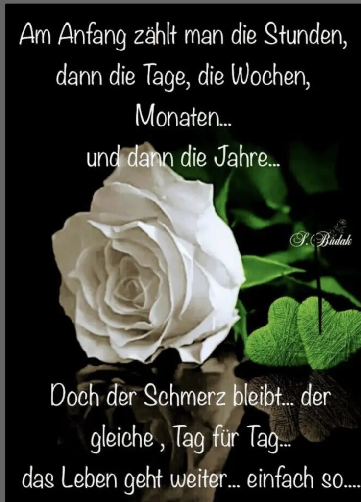 Condolence image of Nicole mit Roxy u. Nell