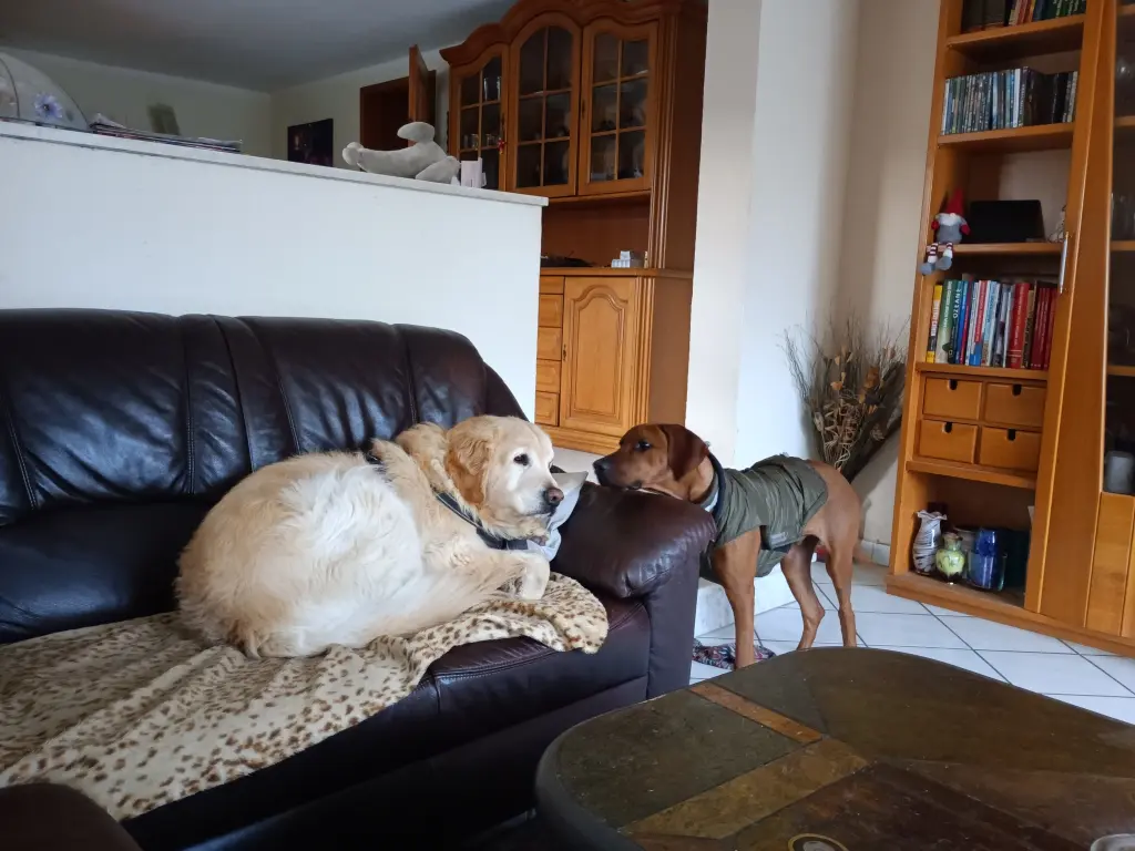 Condolence image of Peter& Christa & Theo❤️